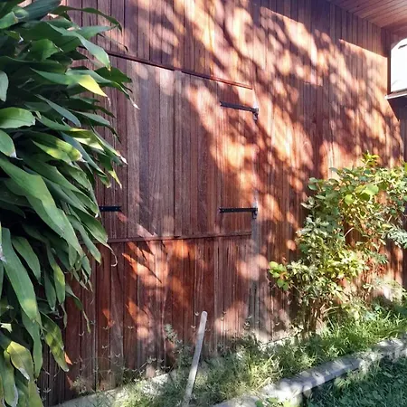 Private Wood-Clad Villa Surrounded By Trees, Steps From The Sea Flic en Flac Exterior photo