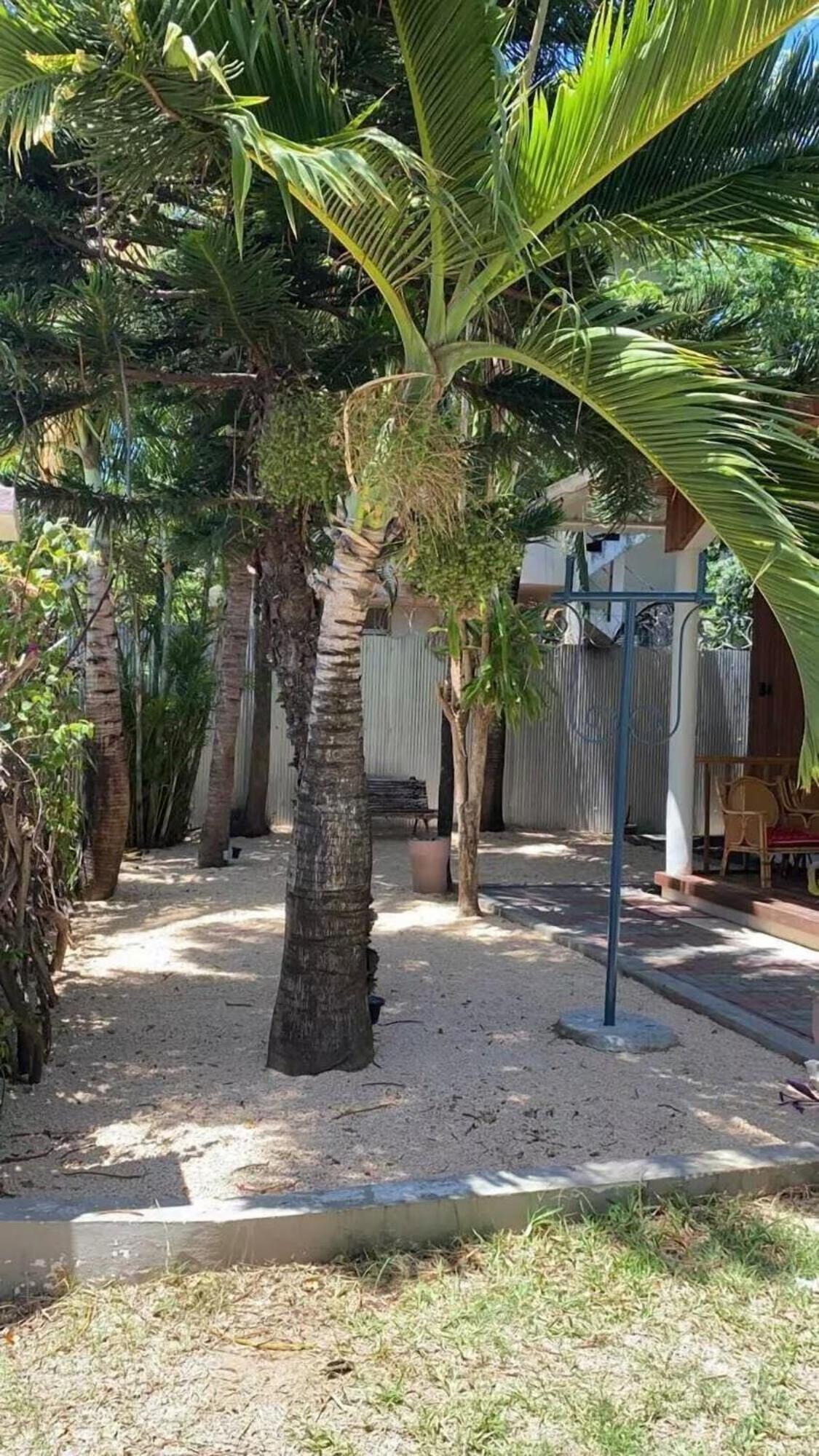 Holiday home Private Wood-clad Surrounded By Trees, Steps From The Sea